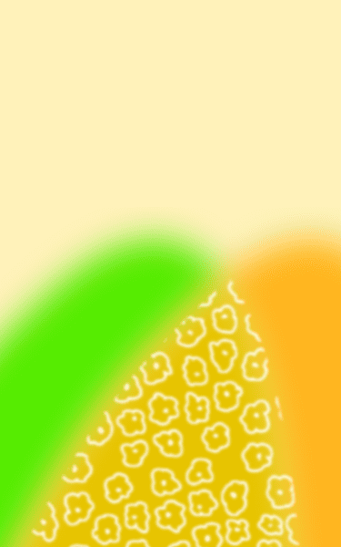 worksのFV（SP版）